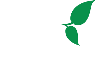 Varför E-planta